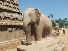Pancha ratha elephant