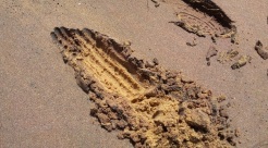 Beach sand deposits